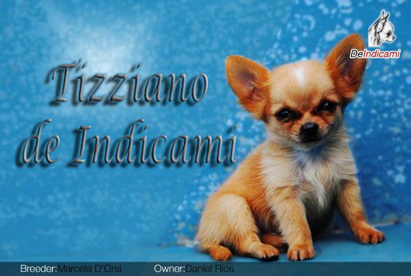 Tizziano De Indicami