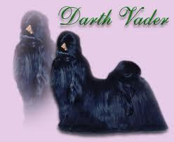 Par D'Ellas Darth Vader