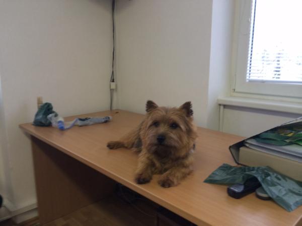 Crispin Terry-Westie