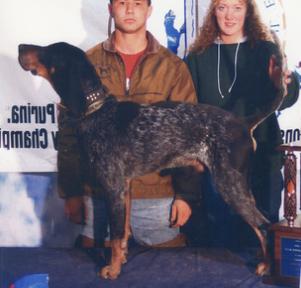 Ukc bluetick best sale forum