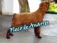 Fleco de Anarres