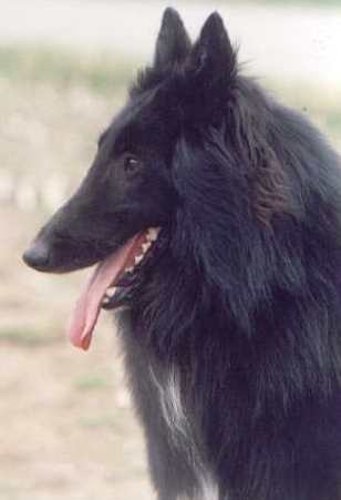 OTHELLO DE LA FUREUR DO CREPOSCUTE.GR 01.06.1998
