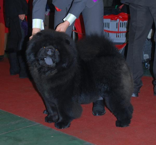 Shen Te Chows Imperator