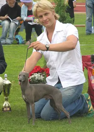 Dogcastle' s Unforgettable