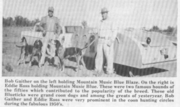 Mountain Music Blue Blaze