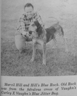 Hills Blue Rock