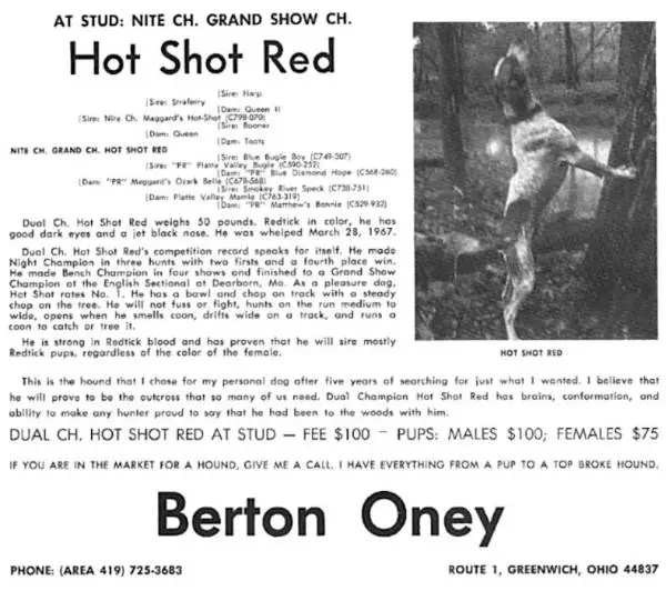 Hot Shot Red
