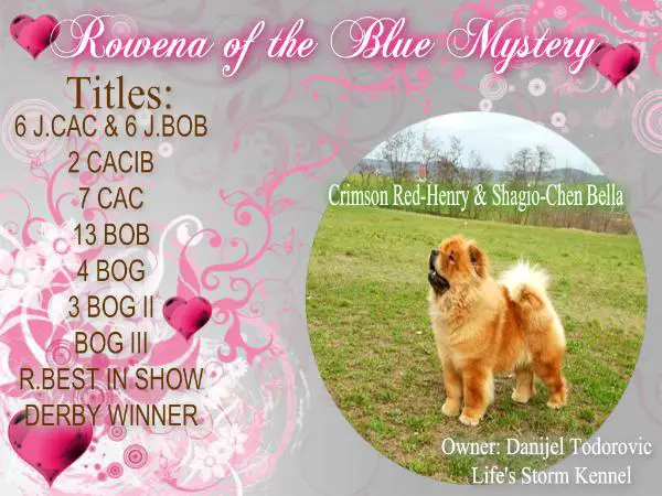 Rowena of the Blue Mystery