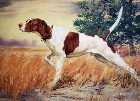 Alford's John (1901)