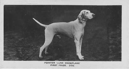 Lune Snowflake (1914)