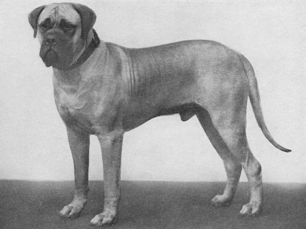 Sir Gallahad of Deleval