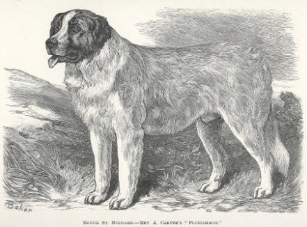 Plinlimmon (1883)