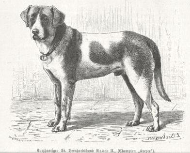 Keeper (c.1895)