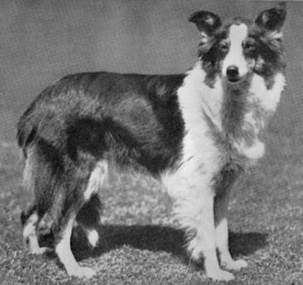 Penelope of The Wansdyke