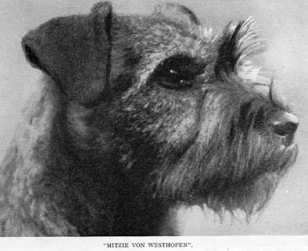 Mitzie von Westhofen