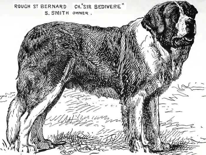Sir Bedivere [S. Smith's]
