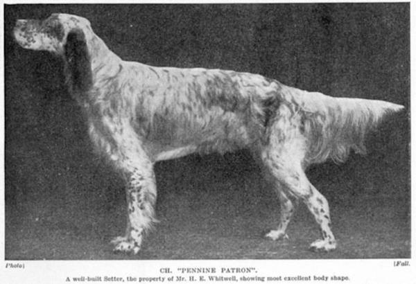 Pennine Patron