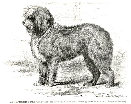 Shepherd's Delight (c.1905) [S. Kingslake's]