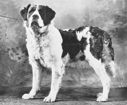 Athos (c.1900) [C. Hopf of Niederhoechstadt]