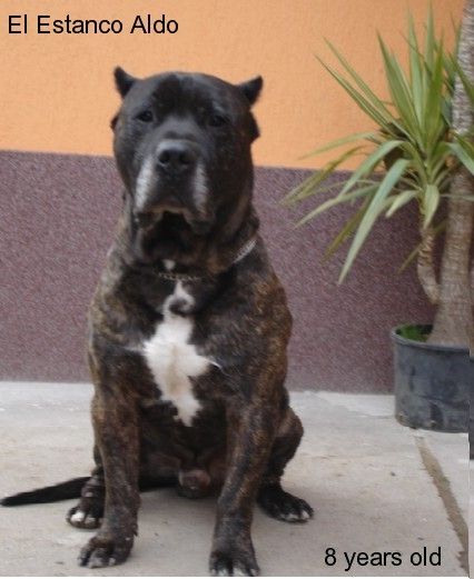 El Estanco Aldo