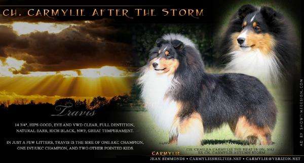 Carmylie After The Storm
