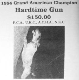 Hardtime Gun