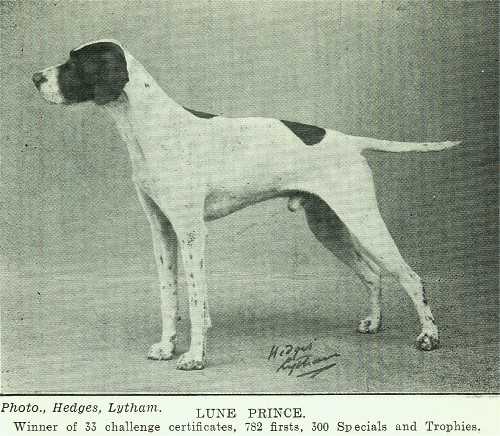Lune Prince
