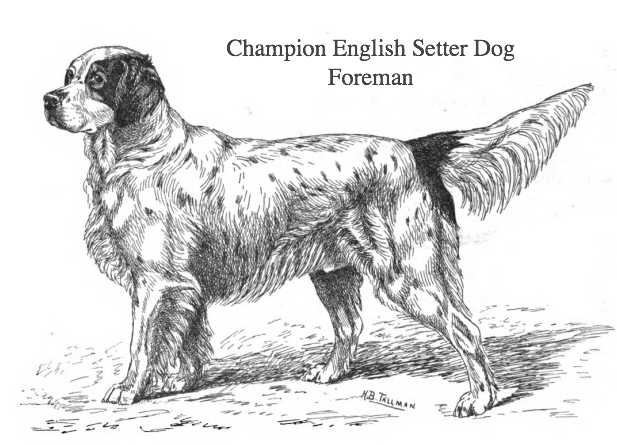 Foreman (c.1880) (1597 v. II)