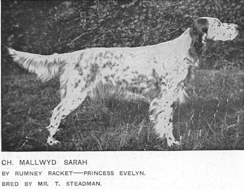 Mallwyd Sarah