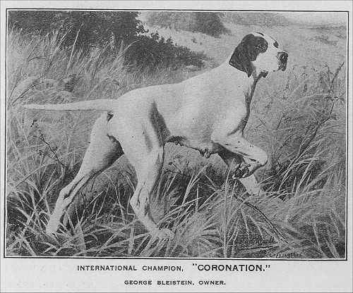 Coronation (1901) 3/1903 32G 98605 V23