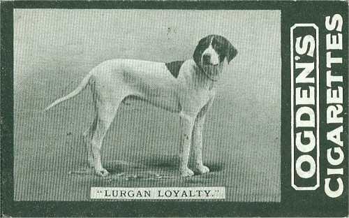Lurgan Loyalty