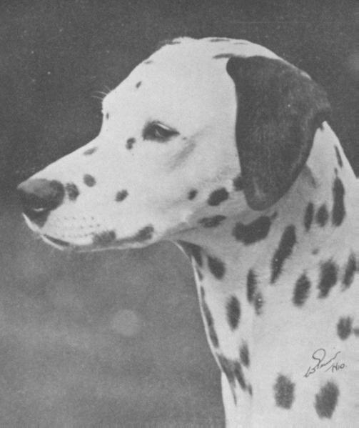 Poulton Faloudeth