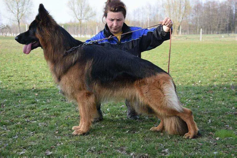 Hunter Andomi Poland