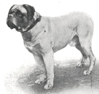 Archie of Hazlemere