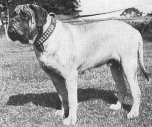 Uther Penarvon