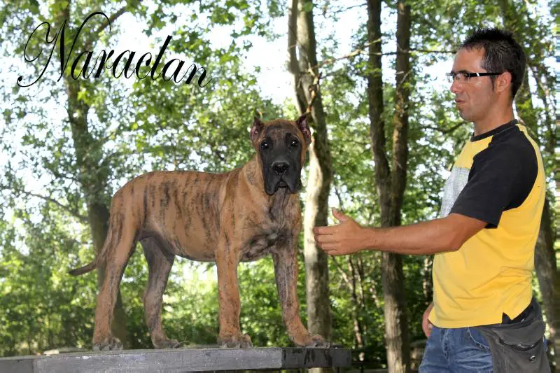 Bonkar de Naraclan