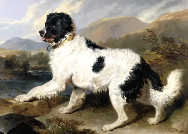 Lion [Sr Edwin Henry] {Landseer}