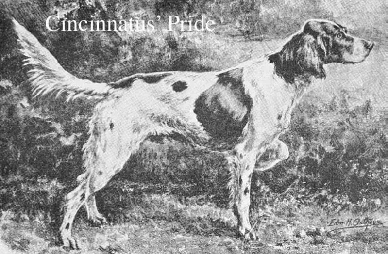 Cincinnatus Pride