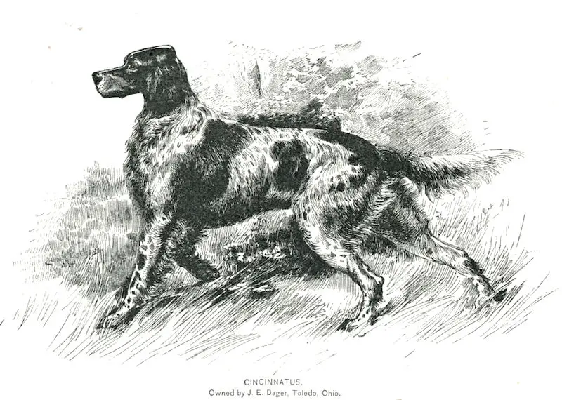 Cincinnatus (1886)