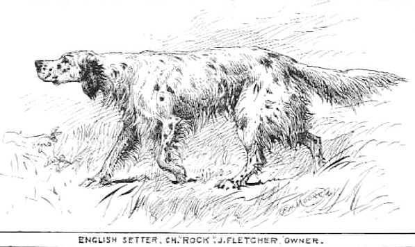 Rock [Fletcher's]