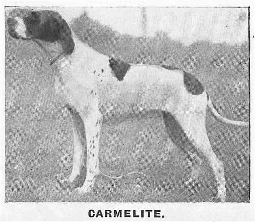 Carmelite (1939)