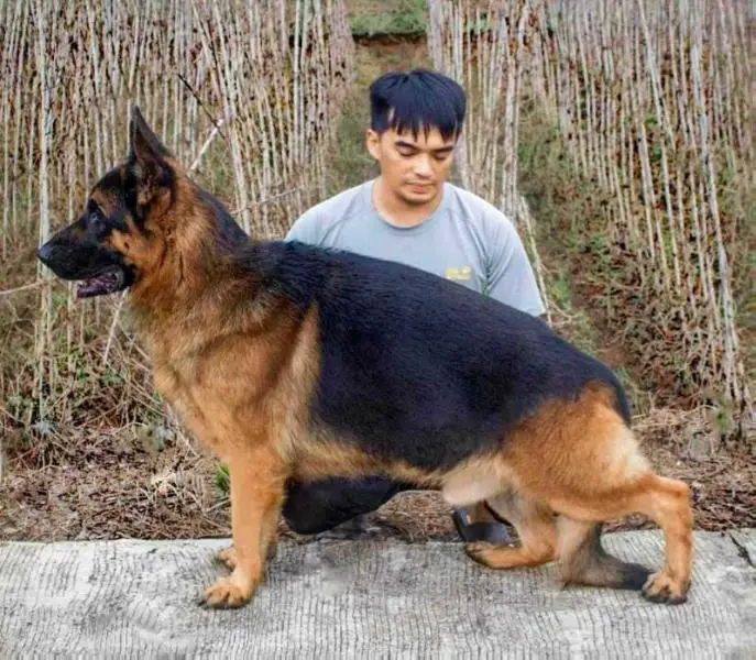 Arko Baguio Philippines