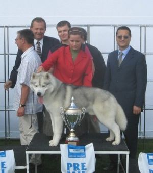 Gamekeeper of siberian lady