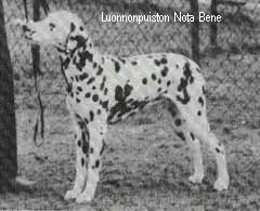 Luonnonpuiston NOTA BENE