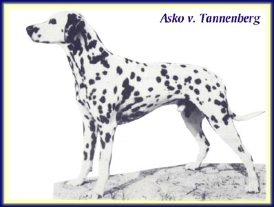 Asko von Tannenberg