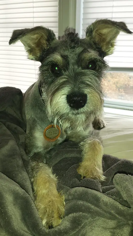 Bubby Suddarth