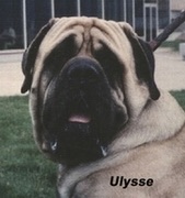 Ulysse-Tyson De La Louvagerie