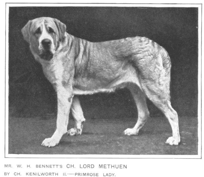 Lord Methuen [Mr. W.H. Bennett's]