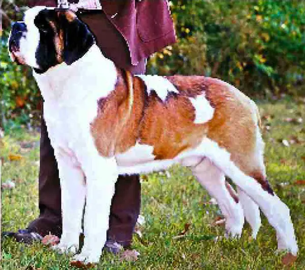 Opdyke's Lancelot