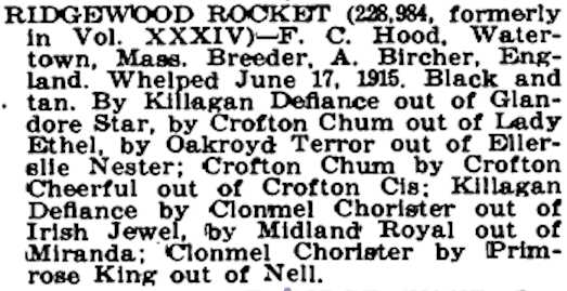 Ridgewood Rocket